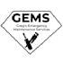 make you a simple logo for your business