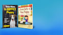 provide professional book mockup services for your project