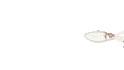 animate your 2d cartoon character or images