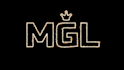 animate intros, your logo my animation