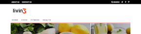 fix and edit wordpress website