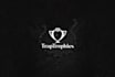 do logo design with brand identity guidelines and branding