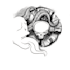 draw a custom tattoo design as a tattoo artist