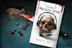 create professional book cover design