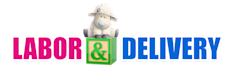 do best quality illustrator vector tracing quickly