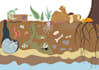 make an illustration for you
