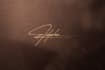 do professional handwriting signature autograph calligraphy worksheet and logo