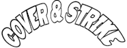 create awesome artwork for skate surf