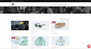 develop a professional divi website with a custom divi theme