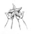 make hand drawn ilustrations by using pencils