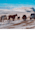 do animated html5 google banner display adsense ads