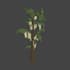 model any low poly 3d object