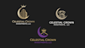 do 3 trendy logo concept designs in 12 hours