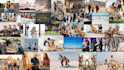 edit image into an animated GIF, custom gif maker