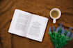 convert word and PDF to epub and do ebook formatting