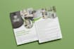 do professional trifold brochure, catalog, company profile