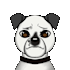 make animated emotes twitch, discord etc