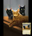 create character art and creature concept art in realistic fantasy style