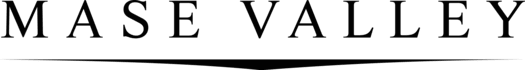 redraw logo to vector, convert image to vector, , vector tracing, vectorize