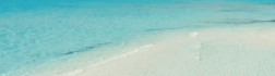 create amazing  animated GIF banner