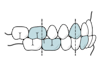 draw detailed medical illustrations
