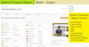 give you a complete online presence report