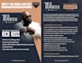 design a professional flyer, poster for business, event fast