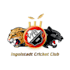 design a modern and outstanding cricket logo
