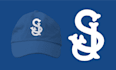 design awesome baseball or varsity style logo for you