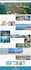 do wordpress design and mobile friendly website development