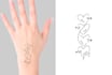 create authentic custom tattoo design within 6 hours