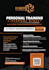 design a professional flyer or postcard