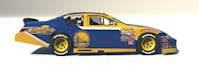 proffesionaly custom paint your iracing livery
