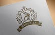 design a logo and create a brand identity for you