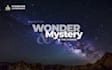design fabulous and helpful wix website, professional web design expert