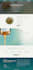 do wordpress website development, design or redesign as a wordpress developer