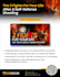 do professional flyer design