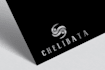 create modern minimalist and luxury logo design