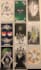 provide a deep and detailed tarot reading on video