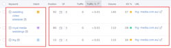 do monthly local SEO and google my business ranking service