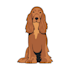 draw cute animals illustration and cartoon character