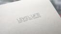 design a luxury handwritten signature logo typography and brand kit