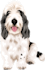 make vector illustration dog cat animal pet cartoon portrait