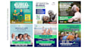 create catchy flyer, poster design