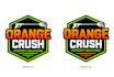vector trace, recreate, redraw, convert logo and image