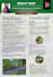 create a promotional eddm postcard, poster, flyer design