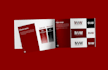 design a brand style guide and logo, brand guidelines