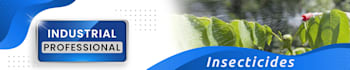 do social media cover or website banner