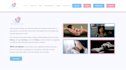 create a responsive professional  wordpress websites design