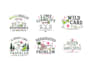 vectorize, clean up, redraw and convert logo to vector